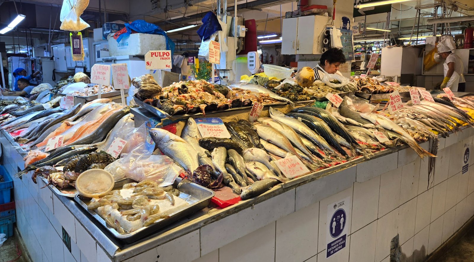 A bustling fish market stall with a wide variety of fresh seafood on ice, and a plate of skewered marinated beef heart and aorta with potatoes from a street vendor.