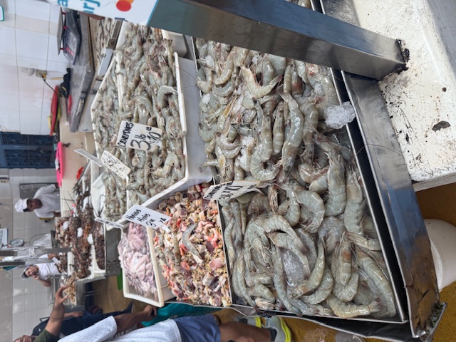 Montevideo historic center