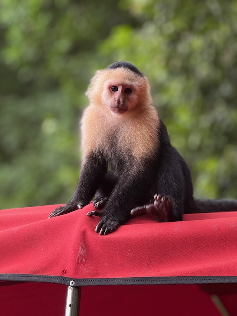 Uruguay architecture