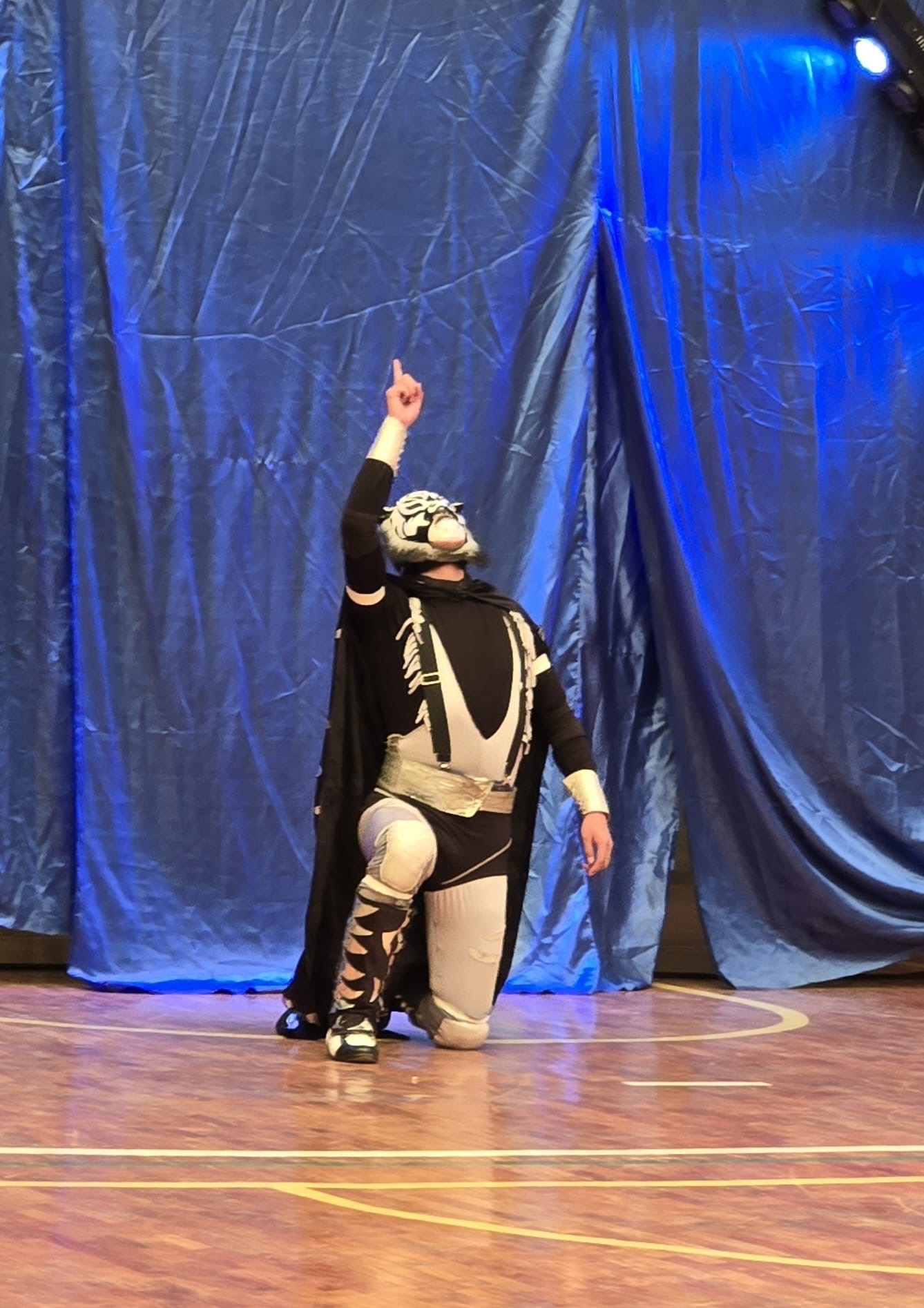 Masked lucha libre wrestler in tiger costume striking a dramatic pose