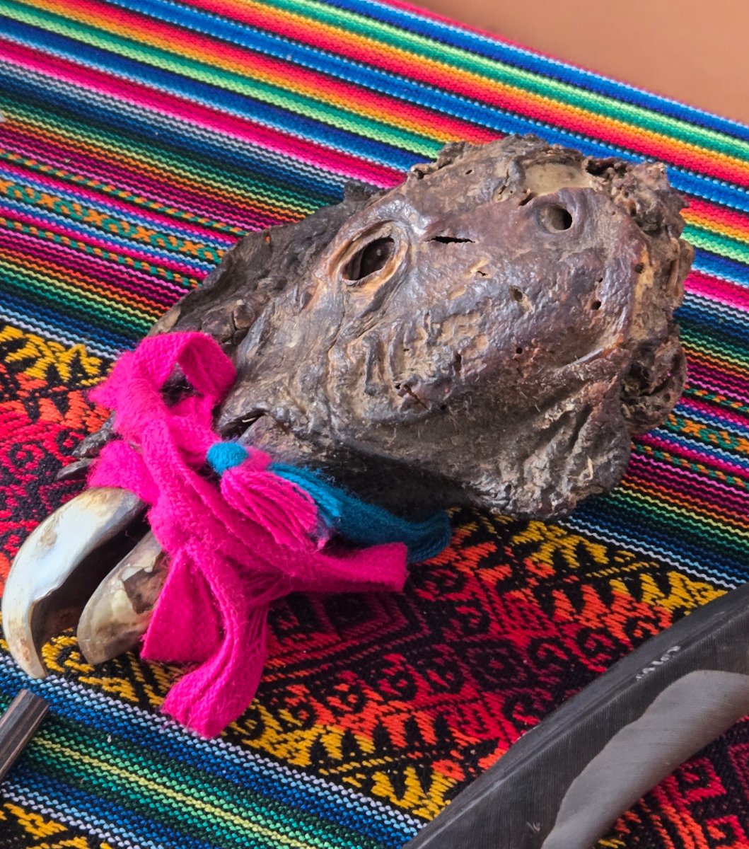 A condor's head and other talismans on a colorful woven cloth, part of a Shaman's table