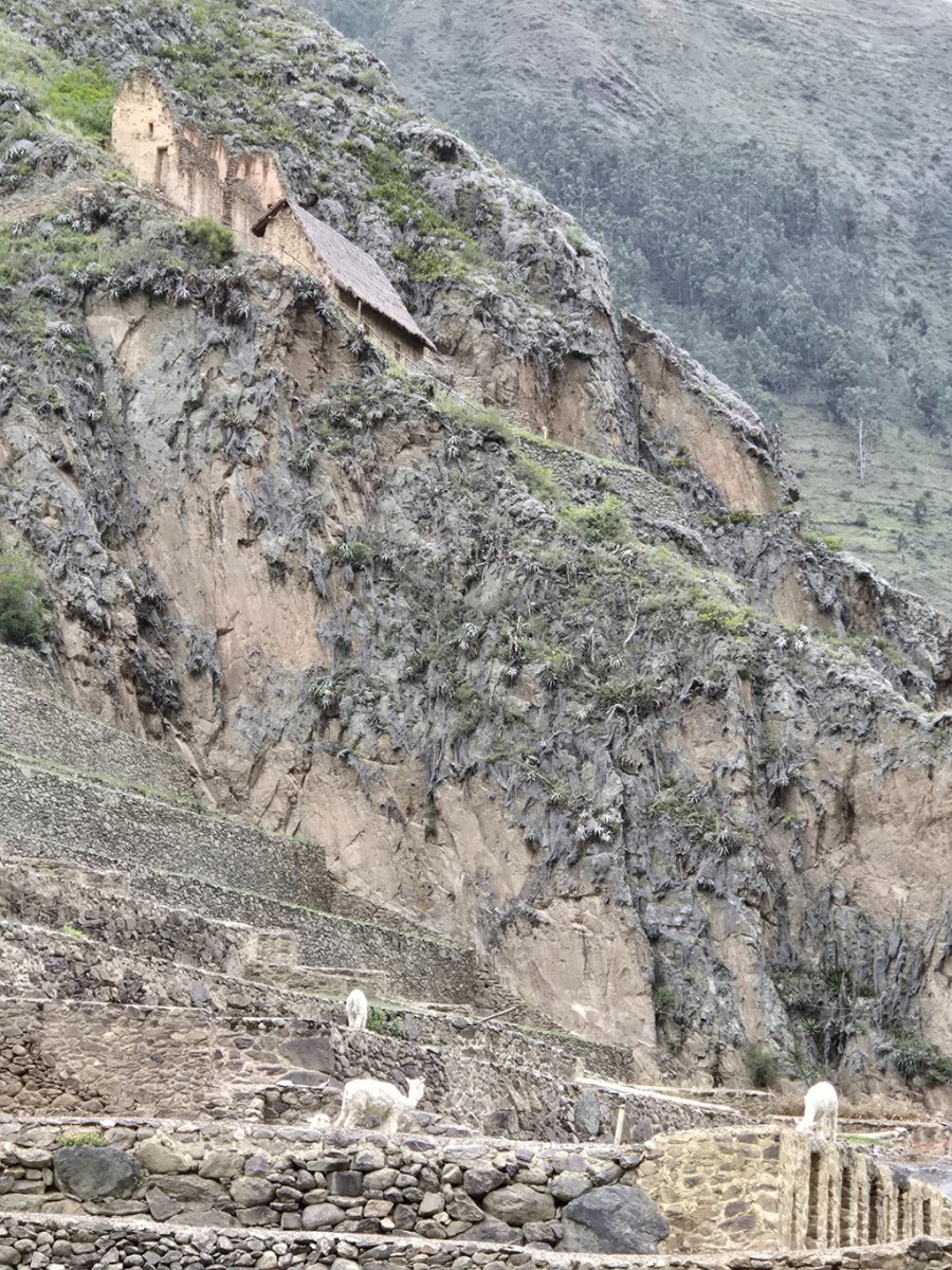 A series of images showing the vast Inca ruins and terraces at Pisaq, with the author present