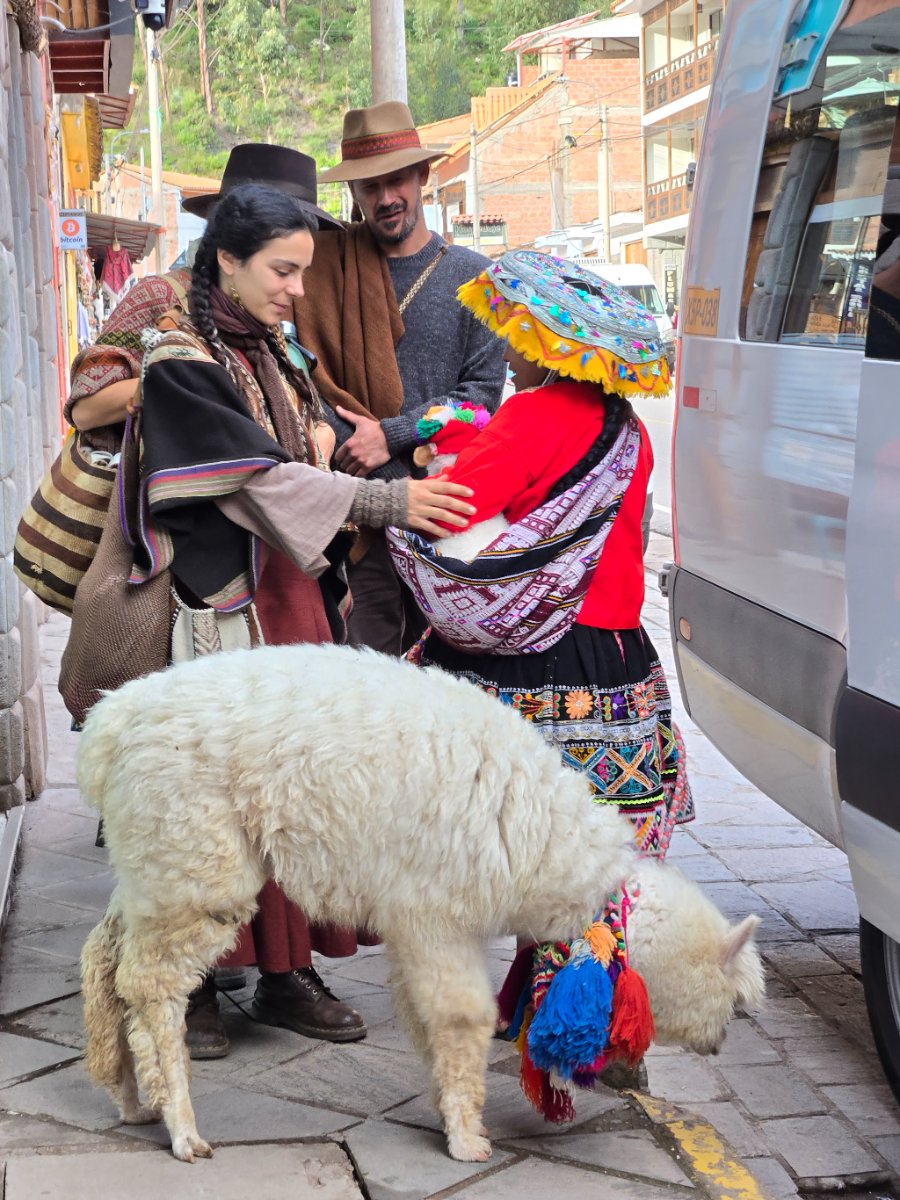 A dog lying on its back on a stone floor