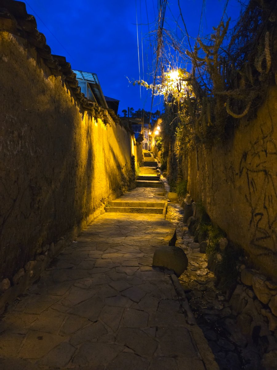 A young child in a pink hat feeding pigeons in a park