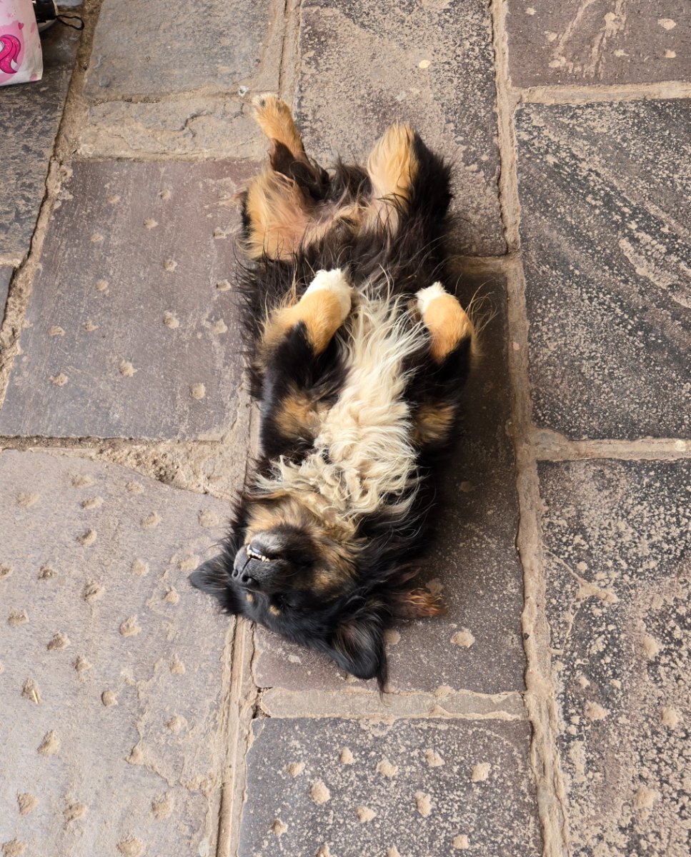 A woman holding a bouquet of flowers and another woman smiling behind a fruit stall